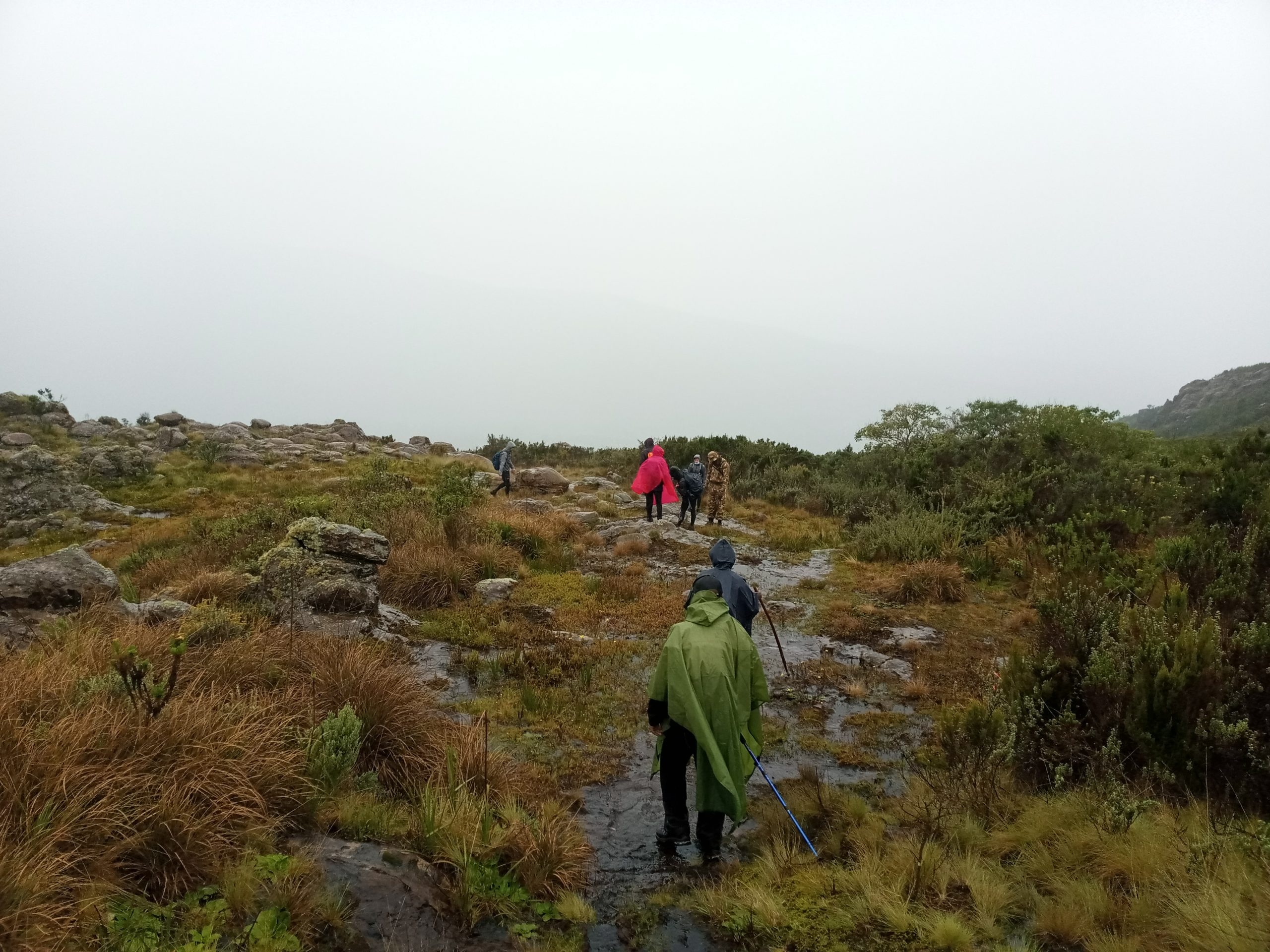 Table Mountain Aberdares