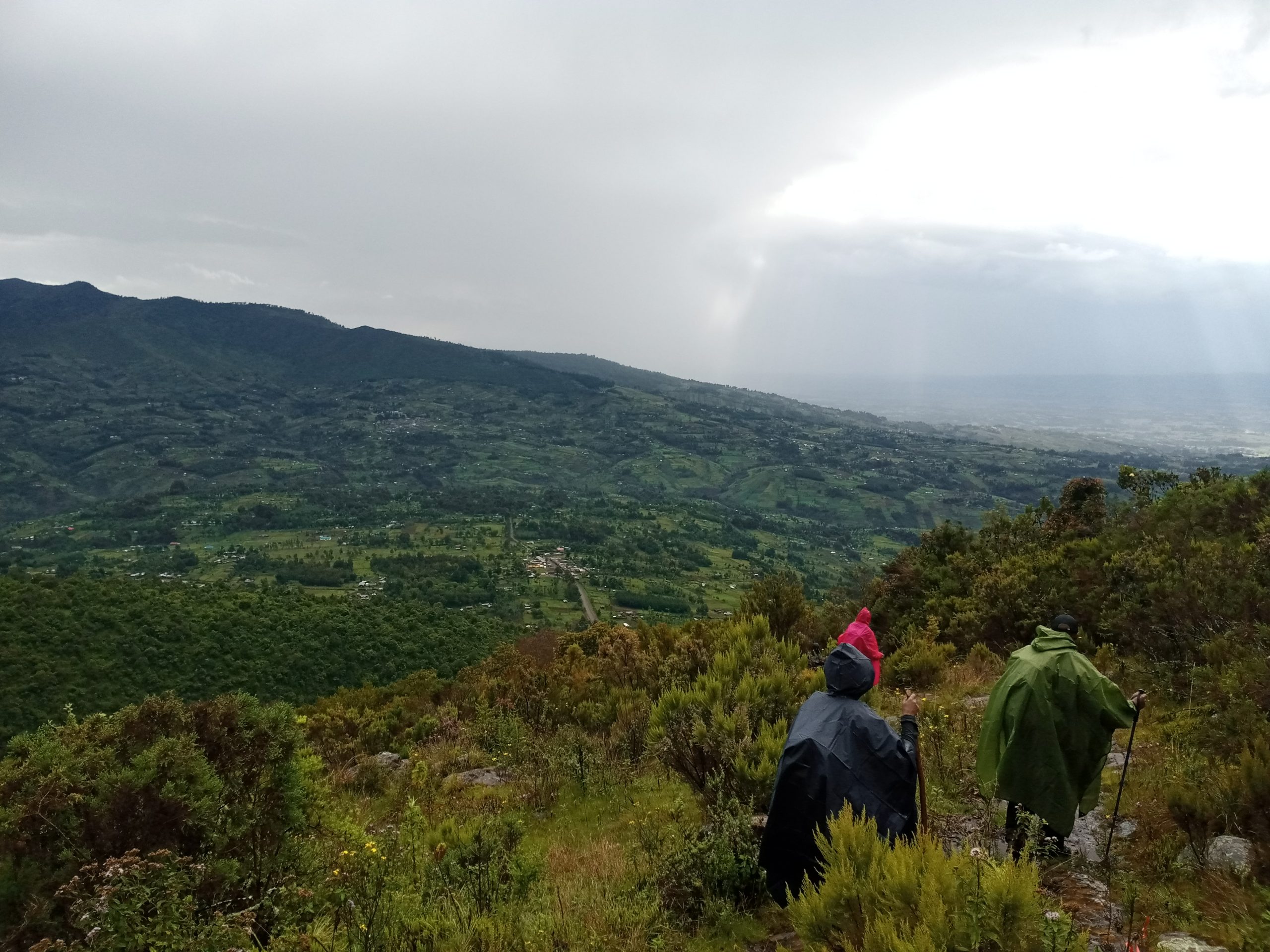 Table Mountain Aberdares