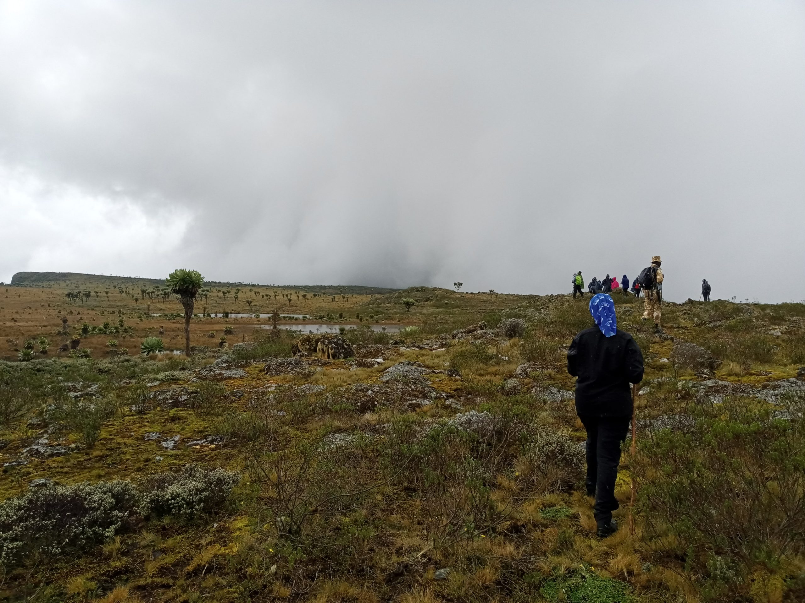 Table Mountain Aberdares